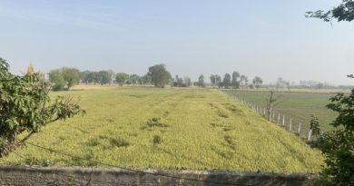 भारत के ग्रामीण क्षेत्रों में बढ़ती उत्पादों की मांग